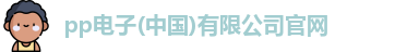pp电子官方网址